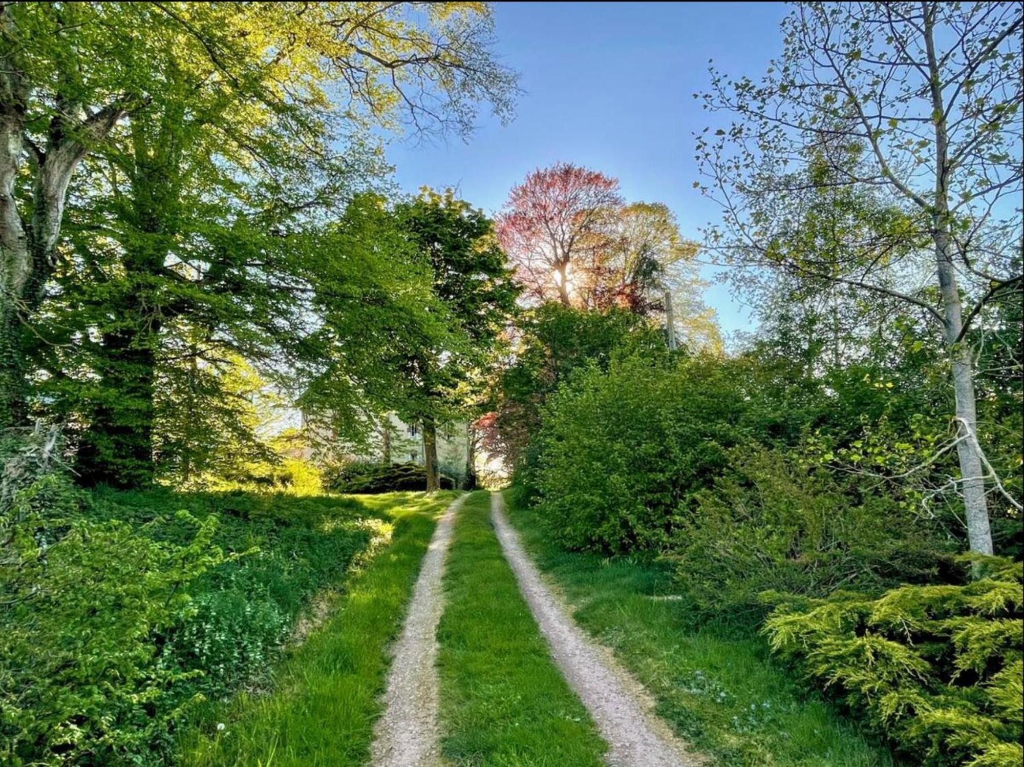 Chateau De La Combe La Celle  المظهر الخارجي الصورة